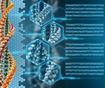Delaying paralysis in ALS by using designer DNA drug