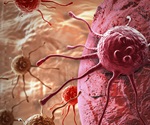 ‘Terminator’ protein halts tumorigenesis