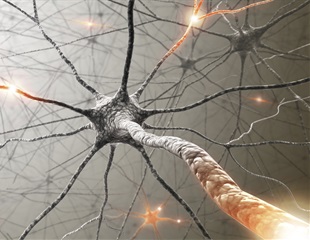 Novel molecular pathway shared by ALS and frontotemporal dementia identified