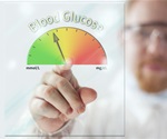 How Do Humans Maintain a Healthy Blood Sugar Level After Meals?