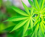 Novel peptide could allow cannabis to relieve pain while avoiding side effects
