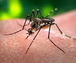 Understanding mosquitoes' mating game could help curb the spread of malaria