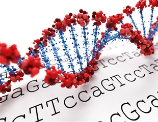 Study Uncovers Ancestry-Specific Genetic Factors in IBD