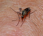 Study: Role of natural mosquito behavior on malaria transmission