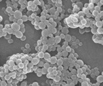 New Modular Nanoparticle Technology Opens the Door to a Variety of Therapeutic Approaches