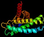 Novel Protein Involved in Tumor Suppression Identified