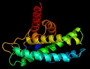 New research identifies a destination for zinc chaperone protein's deliveries