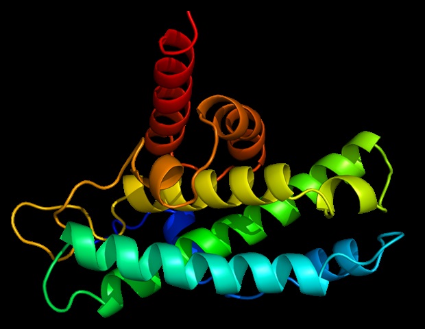 New research identifies a destination for zinc chaperone protein's deliveries
