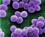 Researchers develop novel antibacterial nanomaterial to treat skin infections