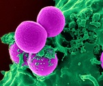 New antimicrobial peptide proves more effective in fighting drug-resistant bacteria