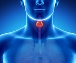 Researchers generate thyroid mini-organs in the lab