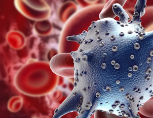 Keeping lymph nodes in the body can boost the efficacy of cancer immunotherapy
