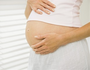 Scientists recognize neuronal processes that regulate food cravings during pregnancy