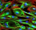 What is Confocal Imaging?