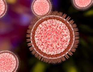 Researchers discover a key mechanism used by Zika virus to evade cell’s antiviral response