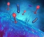 Bacteriophage can play important role in microbial control