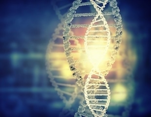 New bioluminescent reporter tracks DNA double stranded break repair in cells