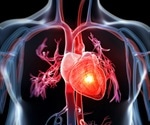 Study shows how scar tissue can effectively regenerate the injured heart