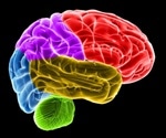 New link found between impaired brain energy metabolism and delirium