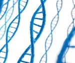 Experts Develop a New Mesoscopic Simulation Model of DNA Movement