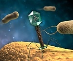 Bacteriophage can play important role in microbial control