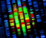 Scientists produce the first complete, gapless sequence of a human genome