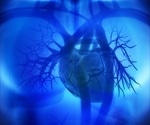 Research provides insight into the regulation of heartbeats