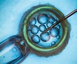 Many mosaic embryos discarded for IVF treatment may lead to successful pregnancies