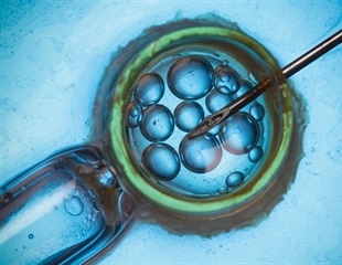 Many mosaic embryos discarded for IVF treatment may lead to successful pregnancies