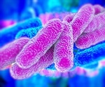 Legionella bacteria ancestors infected eukaryotic cells as early as two billion years ago