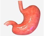 SIDT1 in the mammalian stomach mediates absorption of dietary miRNAs