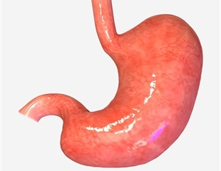 Researchers improve understanding of molecular mechanisms underlying stomach’s acid pump
