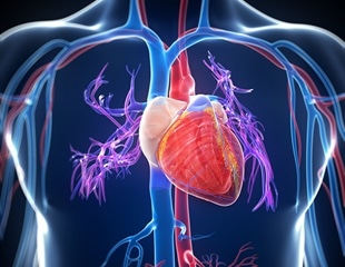 Cell-derived therapy may help treat ventricular arrhythmia