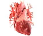 New method delivers promising anti-rejection drug to area surrounding a grafted heart