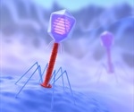 Native genome model of a “live” virus replicated