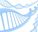 What is the Central Dogma of Genetics?