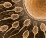New Method Creates Embryo-Like Structure That Mimics Gastrulation