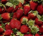 Strawberries pollinated by solitary bees that ingested pesticides were smaller