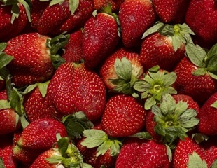 Strawberries pollinated by solitary bees that ingested pesticides were smaller