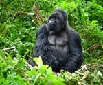 Research finds significant diversity among gorilla microbiomes