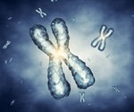 Researchers show how two X chromosomes communicate during embryo development
