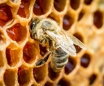 Climate change causes  'phenological mismatch' between bees and flowers