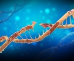 Scientists reveal how 9-1-1 clamp attaches to DNA damage site for initiating effective repair
