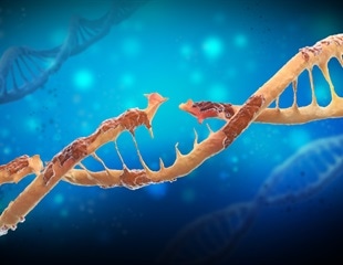 Researchers face challenges with stem cell lines that carry major DNA damage