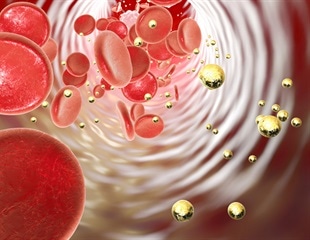 Novel nanoparticle therapeutic shows potential for treating human cancers