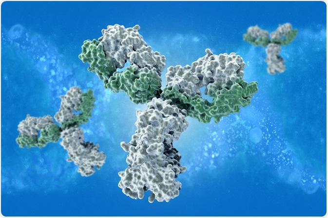 an antibody with parotope ends