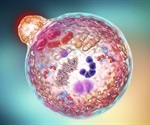 Warwick researchers discover how cells respond to fasting and activate autophagy