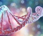 Bioprinting bone along with two growth factor encoding genes improves bone repair