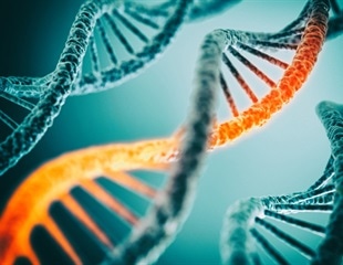 Researchers uncover how DNA double-stranded breaks are repaired