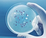Major Progress in Next-Gen Probiotic Development